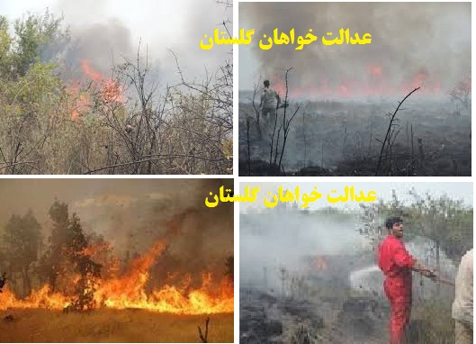 عدالت خواهان گلستان ،شبه جزیره میانکاله بهشهر دچار آتش سوزی عمدی شد/تصاویر