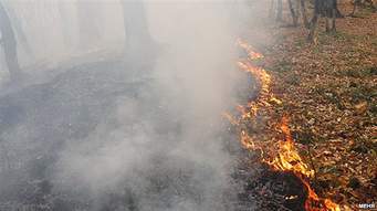 تأمين نشدن اعتبارات اطفایحریق گلستان+عكس