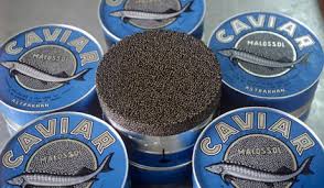 مروارید سیاه به خزر بر می گردد