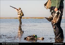 دارندگان اسلحه شكاری مجاز و دفترچه شناسایی شكار از تاریخ ۲۳ آبان ۱۳۹۴ برای اخذ پروانه اقدام كنند