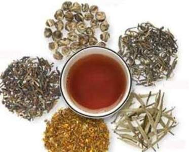 زراعت گیاهان دارویی در استان ها پایش می شود