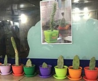 کمک به کودکان نیازمند با فروش کاکتوس