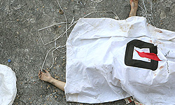 مرگ یک دختر جوان مشکوک به آنفلوآنزا در تهران/اظهارنظر قطعی بعد از آزمایش‌های پزشکی قانونی