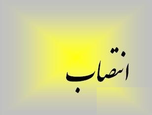 علی رجبلو به عنوان مشاور استاندار در امور ورزش منصوب شد