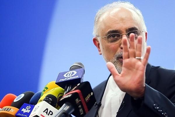 صالحی: ایرادات منتقدان به برجام عوامانه است