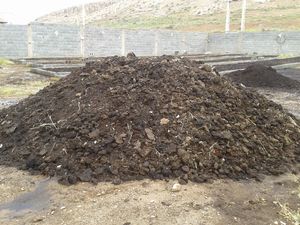 واردات ۴۶۰۰ تن کود حیوانی به لطف برجام