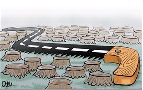 قطع یک عالمه درخت!