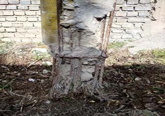 پیگیری 3 ساله موضوعی ساده توسط یک کلاله ای / رئیس اداره برق: موضوع بزودی بررسی میشود ! + عکس