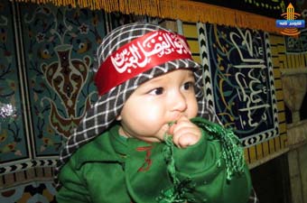 تصاویر/ برگزاری همایش شیرخوارگان حسینی در گنبد