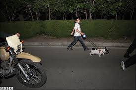 شلاق، مجازات «سگ‌گردانی» 