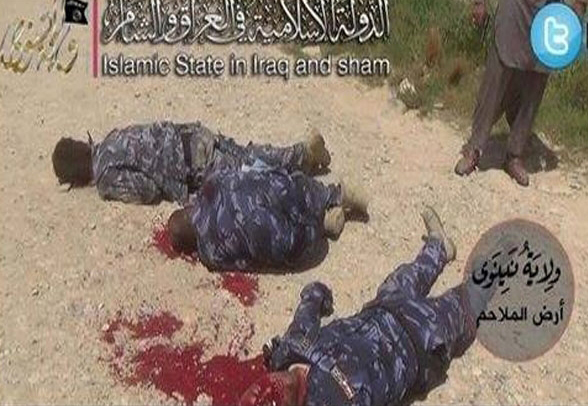 داعش در شبکه اجتماعی توئیتر توئیتر؛ جغد شوم جنایت + تصاویر