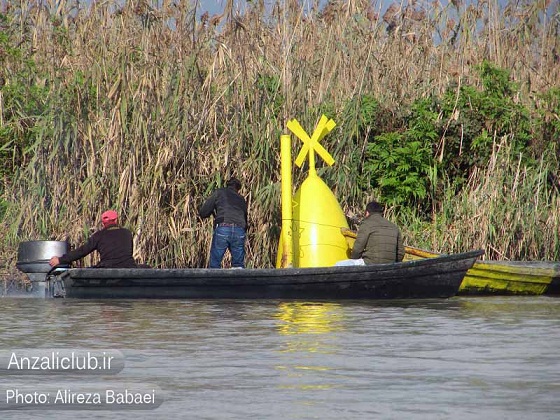بسیج نیروهای بندرانزلی،برای پیدا کردن جسد شادی سرخیل