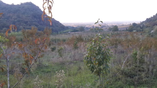 زمینهای ( معروف به شهرک استانداری ) زمینخواری میباشد.