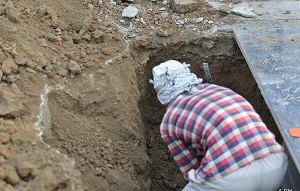 محل دفن مرتضی پاشایی در بهشت زهرا +عکس