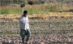 کشاورزی گلستان چشمانتظار توجه و تدبیر