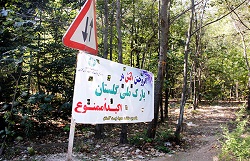 نمایندگان استان گلستان در نامه ای به رئیس سازمان محیط زیست؛