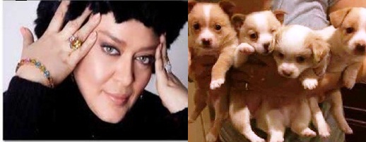 از تولهسگ فروشی تامقتل خوانی بهاره رهنما بازیگرسینما و تلویزیون کشور !!!