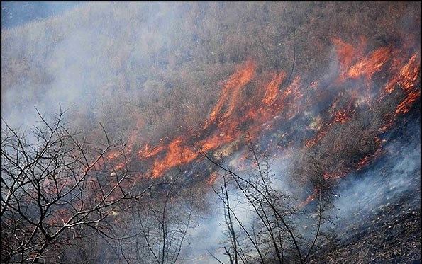 5هزار مترمربع از ارتفاعات جنگل ناهار خوران در آتش سوخت.