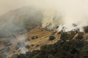 اعلام جزییات علت آتشسوزی در جنگل گلستان