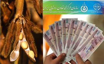  پول سویاکاران گلستانی در بانکها خاک می خورد! / جزئیات جدید از بازی تعاون روستایی با سویا کاران گلستانی
