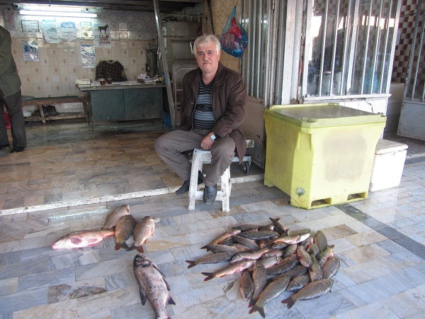 از این محل جا به جا نخواهیم شد