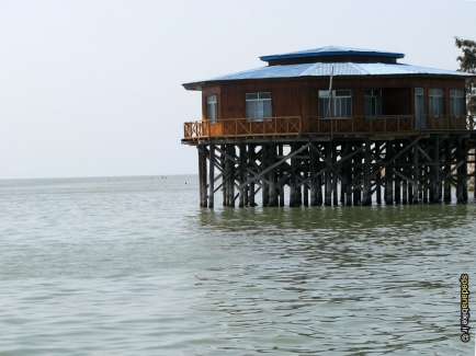 آشوراده، عاشورای محیط زیست است/ قول ابتکار امیدوار کننده است