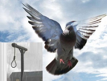 نجات جوان ۲۹ ساله گرگانی