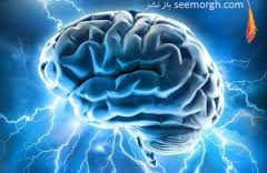 چگونه مراقب حافظهمان باشیم؟