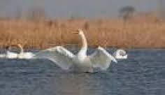 بانوي ۵۲ ساله ايراني براي حمايت از آشوراده، كرج تا ميانكاله را ركاب زد