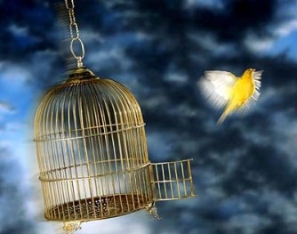 همزمان با ماه بهمن ماه پیروزی انقلاب،۳۴ نفر از زندانیان گلستان آزاد شدند