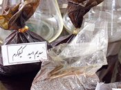 رویاهای شیشه‎ای؛ سوغات شوم برای جوانان