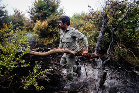 فضای سبز کنونی چندان زیبنده آن نیست