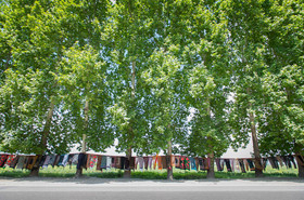 بینظمی در اطلاعرسانی به مسافران نوروزی گلستان