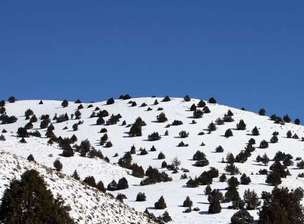 عکس/ بارش برف در ارتفاعات استان گلستان