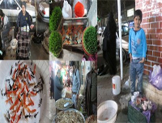 گزارش/ زخم های بی پولی در بی رونقی بازار شب عید گرگان +تصاوی