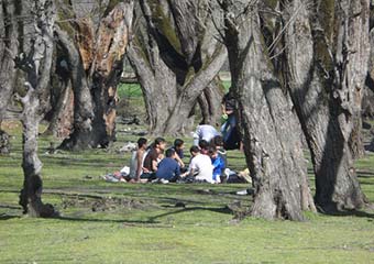 پارک جنگلی باقر آباد مینودشت مکانی دیدنی برای مسافرین نوروزی + تصاویر