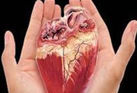 اعضای بدن همسر آیتاللهخاتمی اهدا میشود