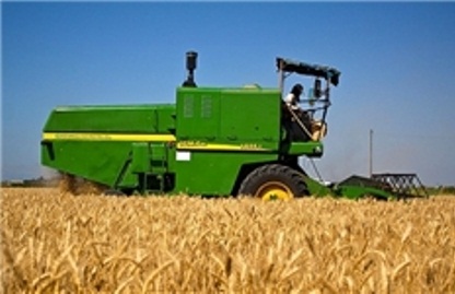 نرخ خرید تضمینی گندم هر کیلوگرم 11هزار و 550 ریال (یکهزار و 150 تومان) تعیین و ابلاغ شد