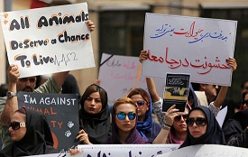 عکس: تجمع اعتراضی به سگ کشی با اسید