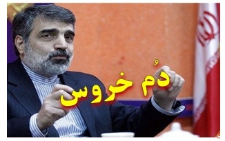 بیست و سه روز از نافرمانی دولت روحانی از مطالبات مقام معظم رهبری / «دُم خروس» روز بیست و سوم + فایل صوتی