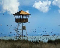 اعتراض روهی از دانشجویان دانشگاه تهران به واگذاری آشوراده 