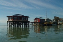 اسماعیل مهاجر