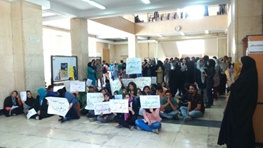 تجمع علیه استادی که دانشجویش را کتک زد 