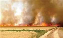 تداوم آتش در مزارع گلستان/ خرمن آرزوهای کشاورزان خاکستر شد