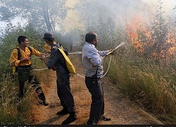 تصاویر/ آتش‌سوزی در مزارع توشن گرگان 