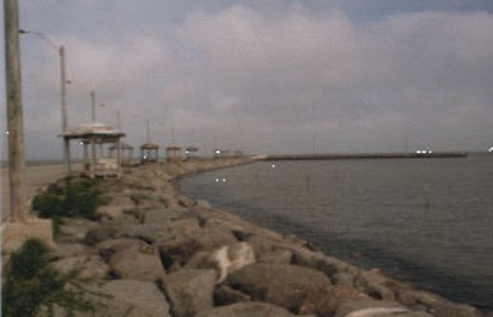 بازدیدعبدالله محمدهاشم نماینده مناطق آزاد کشورازظرفیت های بندری خواجه نفس و گمیشان