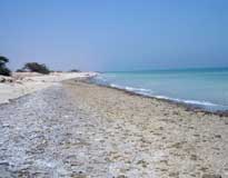 طرح ساماندهی سواحل کشور در حال تهیه است 