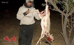 شکارچی بی رحم ۱۱ آهو بازداشت شد + عکس