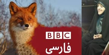 پالس‌ معصومه ابتکار به‌ غرب در گفتگو با شبکه روباه BBC