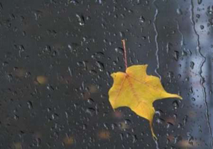 گلستانی ها منتظر بارش باران باشند 